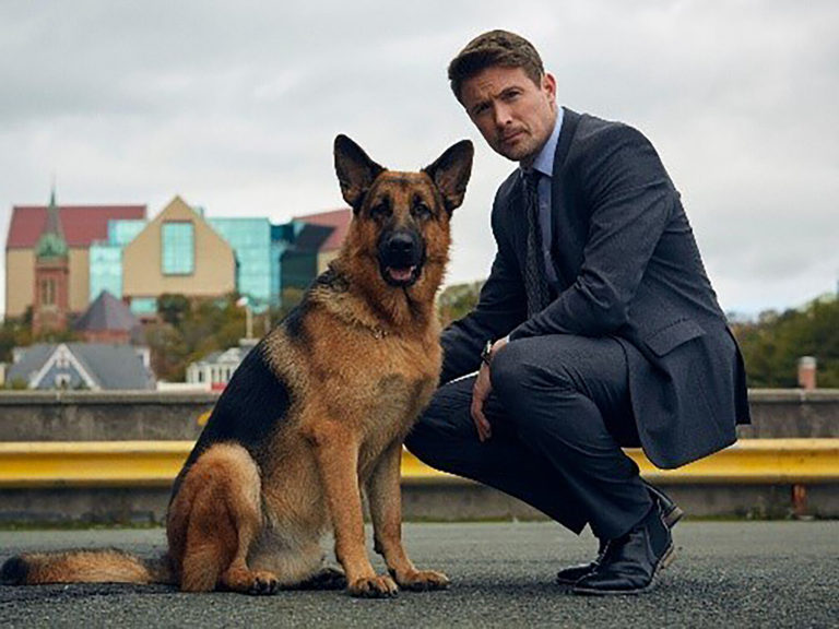 Citytv starts production on new dog detective drama set in St. John’s