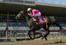 Woodbine marquee races to be broadcast on Citytv, CBC