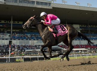 Woodbine marquee races to be broadcast on Citytv, CBC
